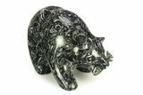 Realistic, Polished Coquina Stone Bear with Fish - California #308423-1